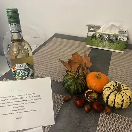 Apartament Rames-cosmo Downtown With Rooftop Pool Budapeszt